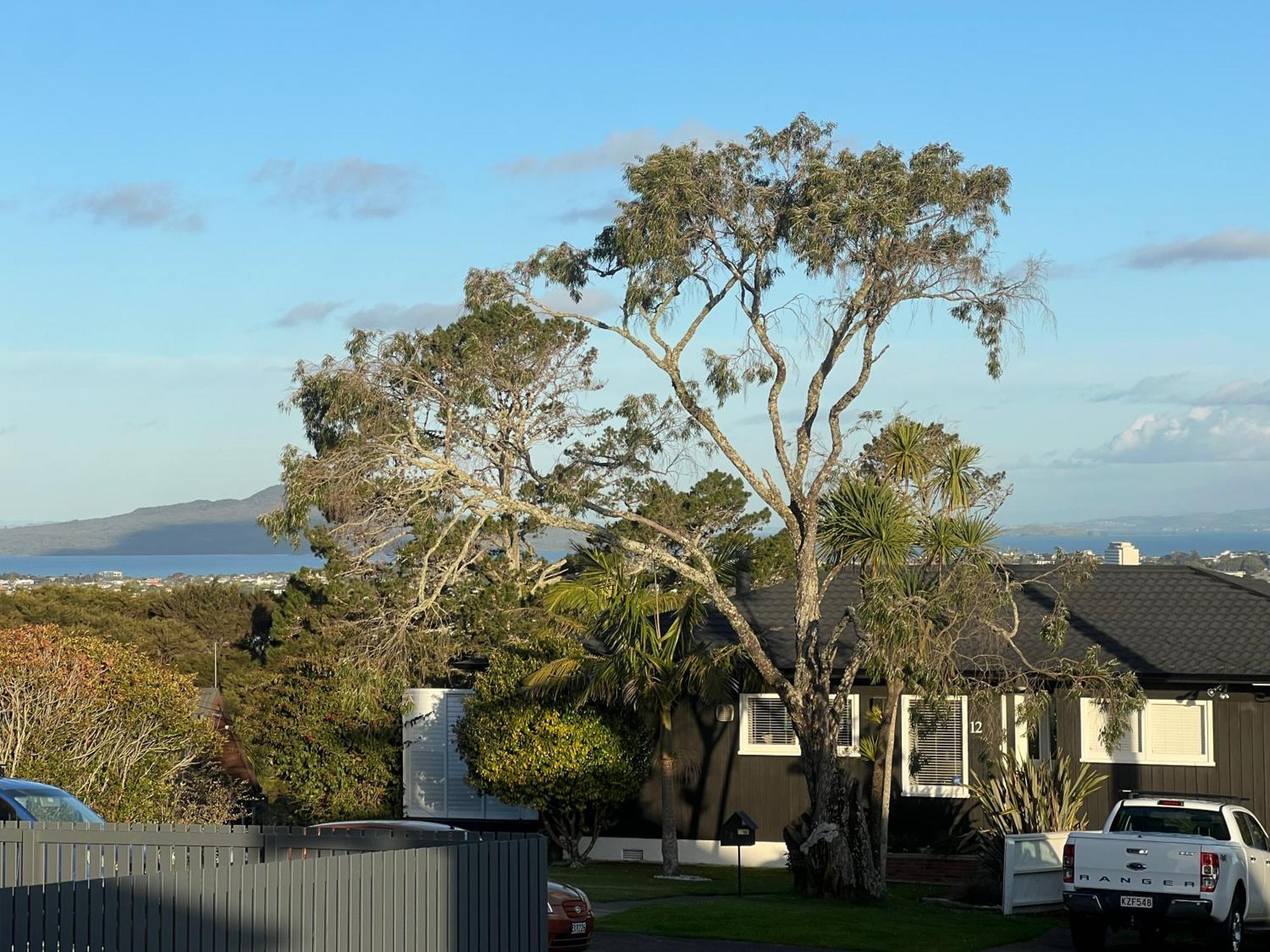 Cosy Three Bedrooms In North * Auckland